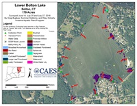 Lower Bolton Survey 2018