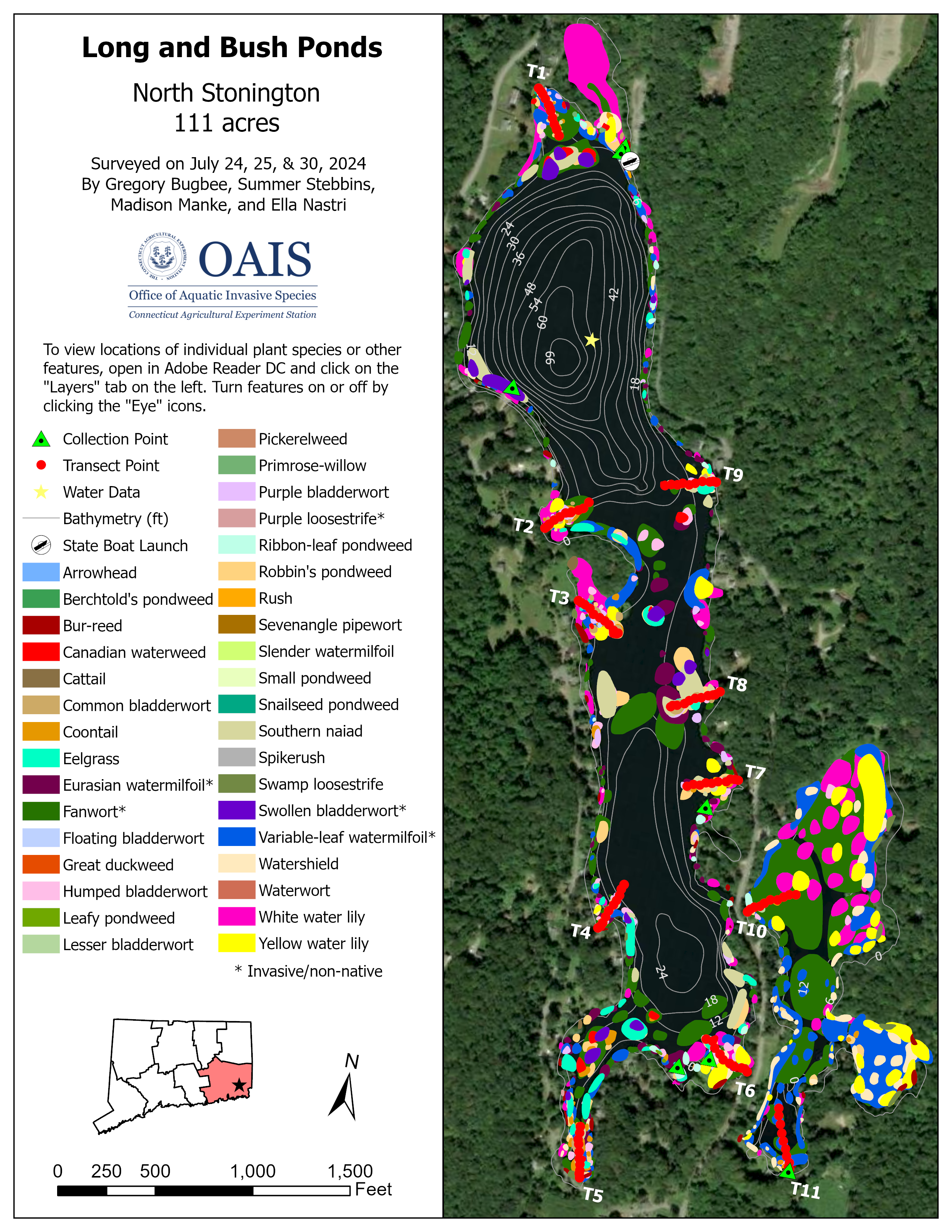 Map image of 2024 aquatic vegetation survey results.