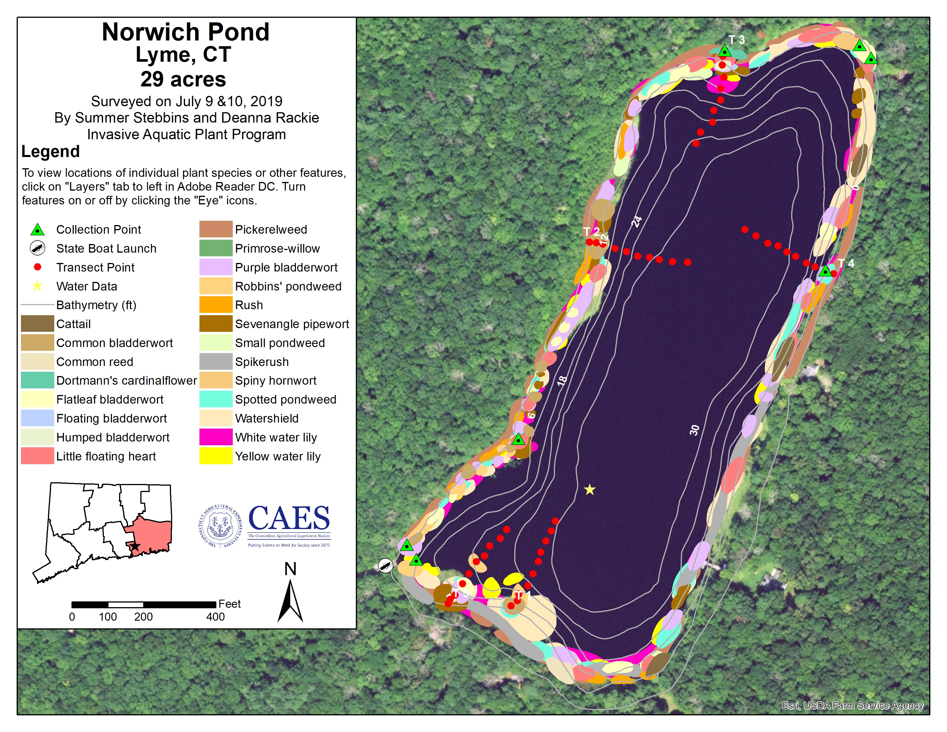 CAES IAPP 2019 Survey Map of Norwich Pond