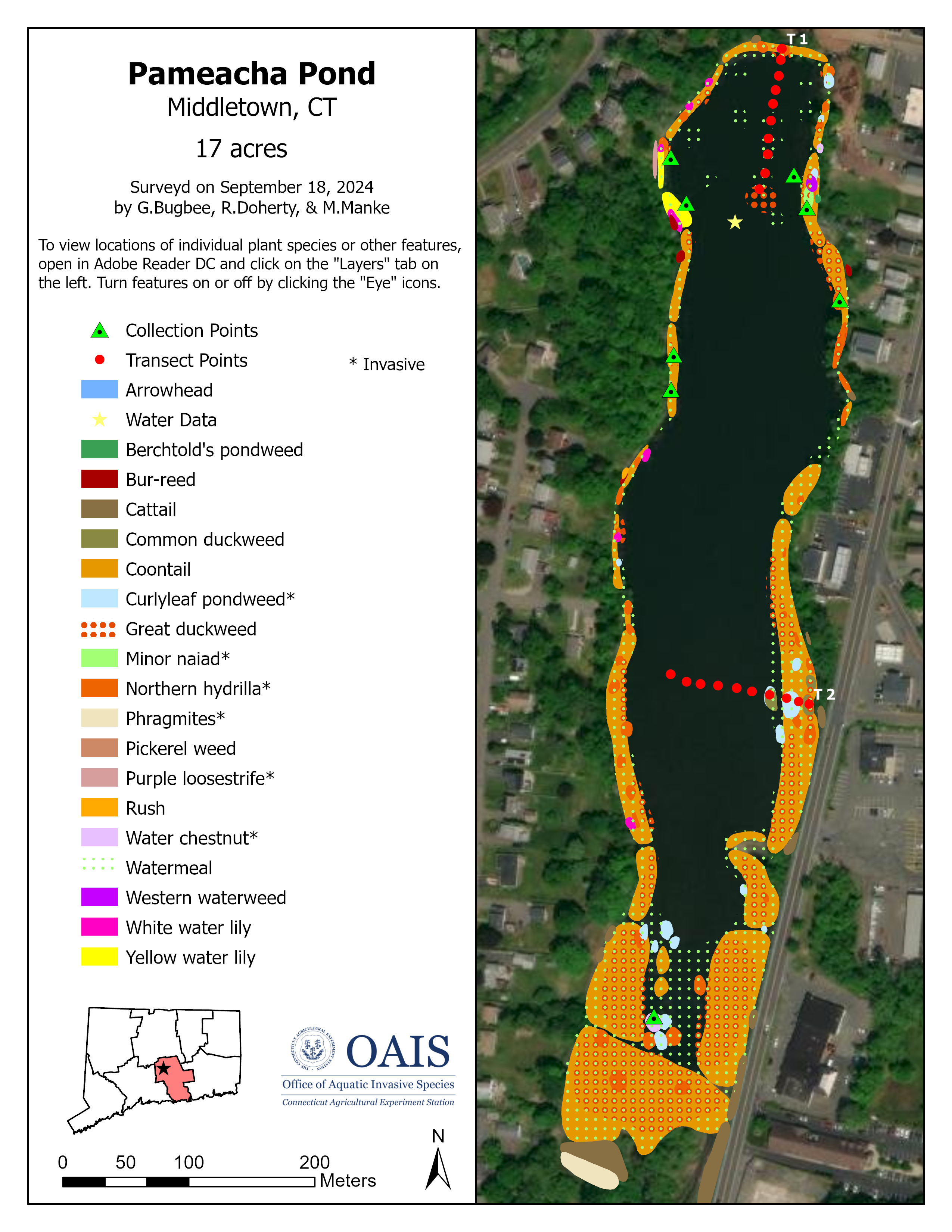 Survey map of aquatic plants in Pameacha Pond in 2024.