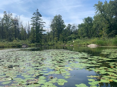 Photo taken at the south end of Lake Wononpakook