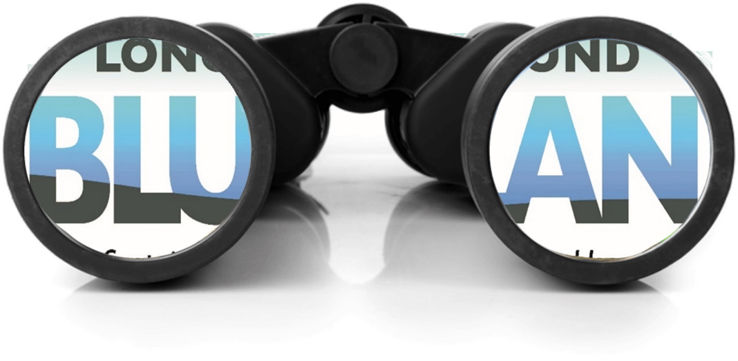 Blue Plan binoculars