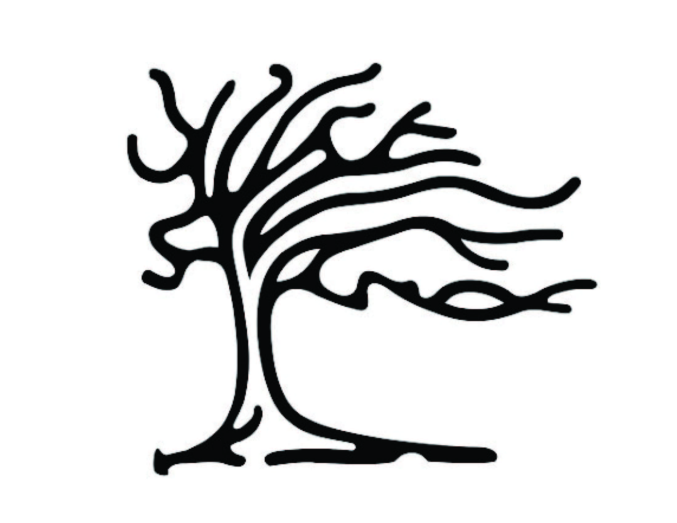 CT Best Management Practices App Logo 