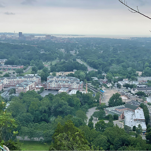 Scenic view of an urban forest landscape.