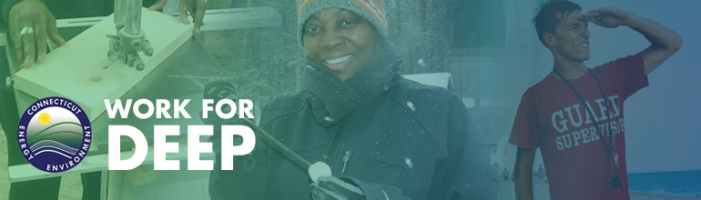 Header image with teen wildlife expert and lifeguard