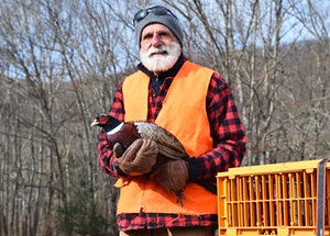 Pheasant Stocking