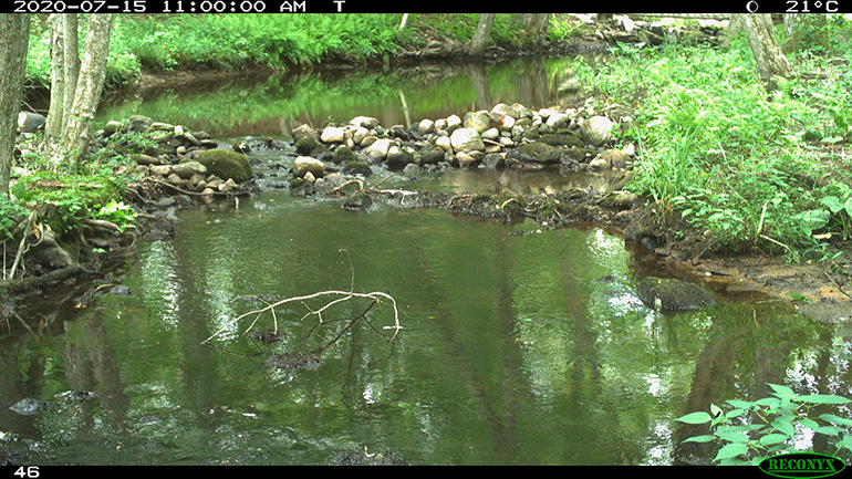 Streamflow Category 3