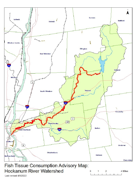 Fish tissue map, Hockanum river