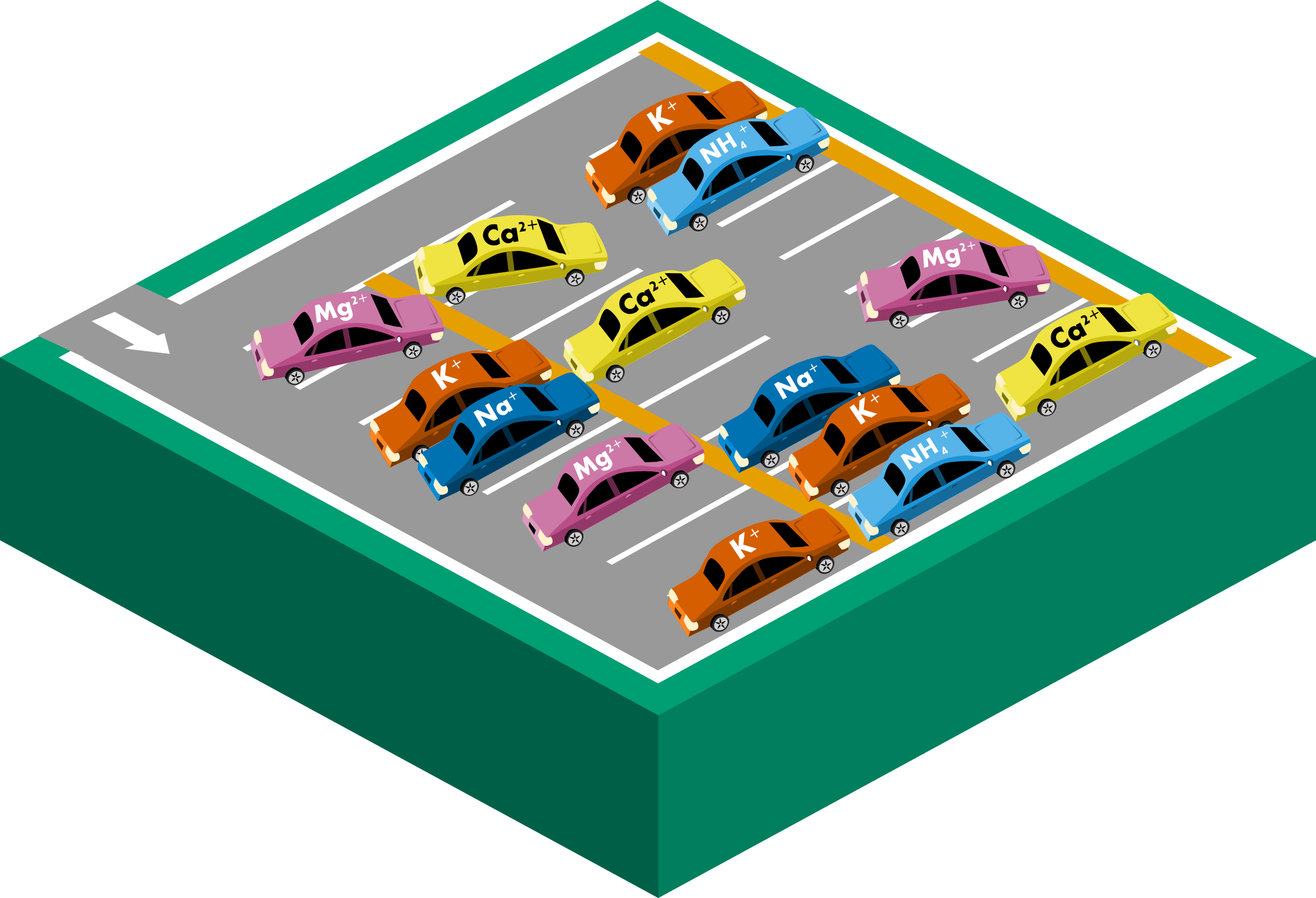Infographic illustrating soil chemistry represented by a parking lot