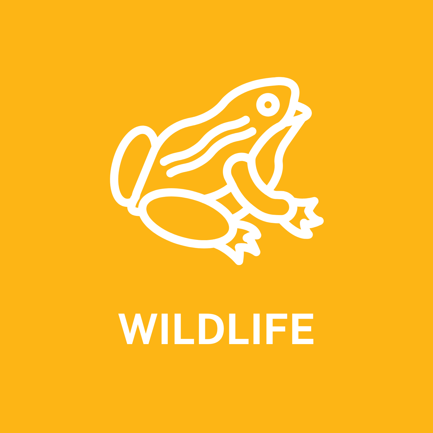 Wildlife