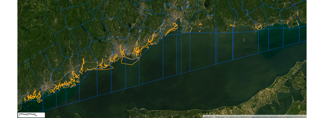 Natural oyster seed bed maps