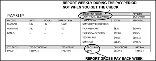 Sample Pay Stub