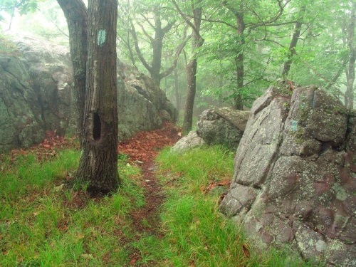 Pic of Trail from SCORP