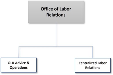 OLR MAIN ORG CHART