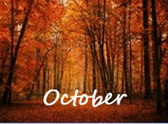 October 2022 FAB Topic