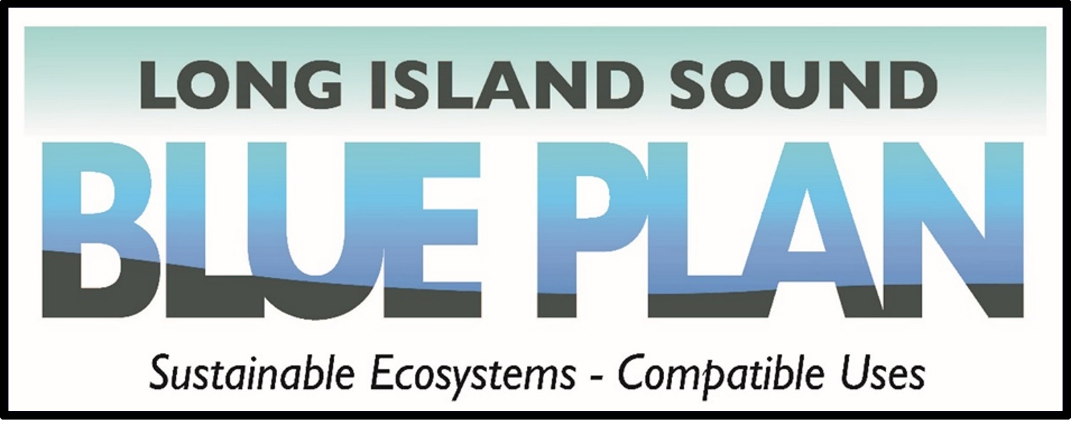 Blue Plan logo