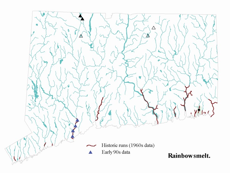 Rainbow smelt distribution map.