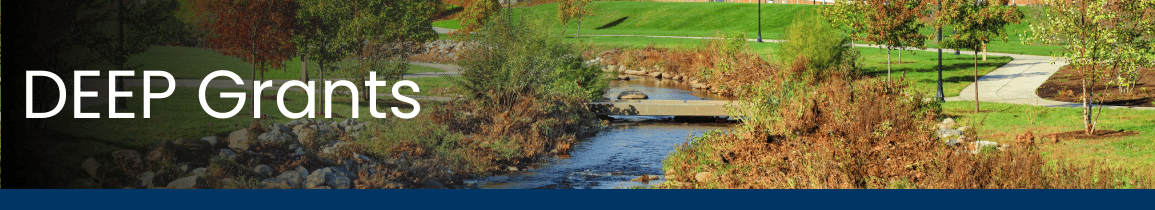 DEEP Grants