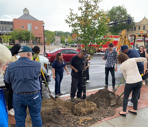 DEEP and CUFC Planting Trees