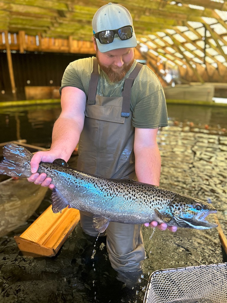 Atlantic Salmon Stocking
