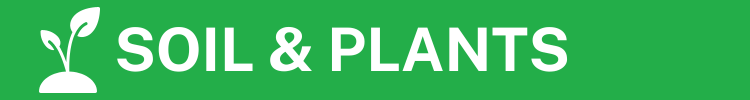 Soil & Plants