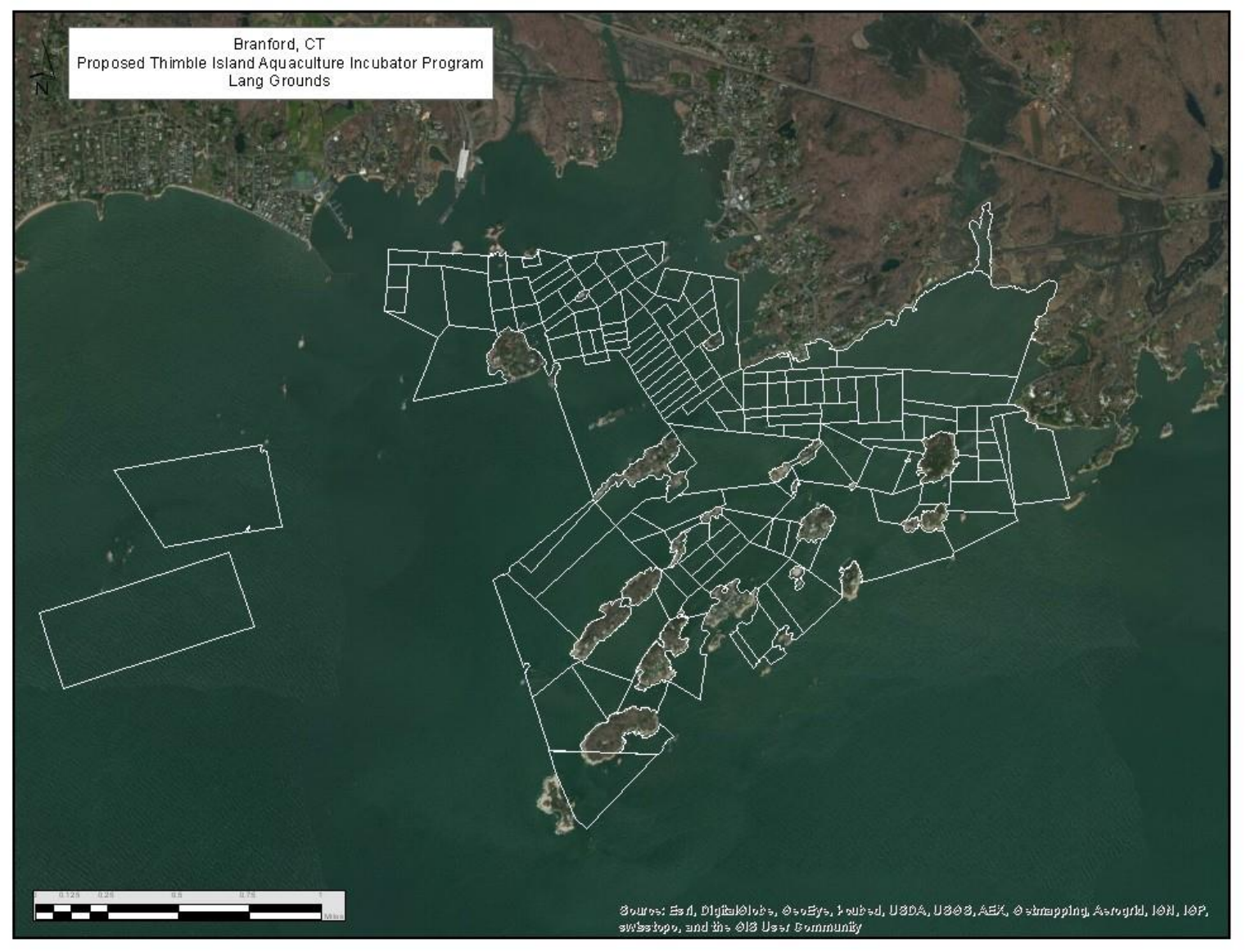 Branford Initiative Map