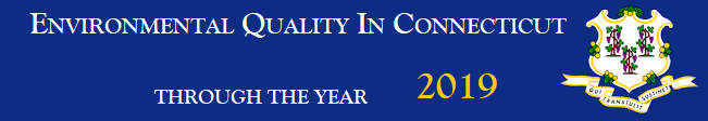 Banner for 2019 Annual Report