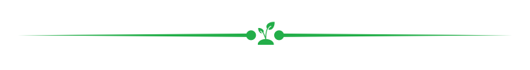 Green Divider Line with Plant