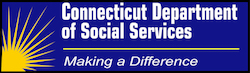 DSS Logo