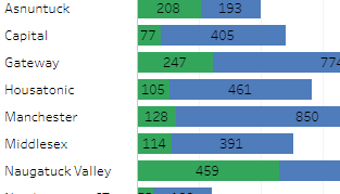 Data Visualizations